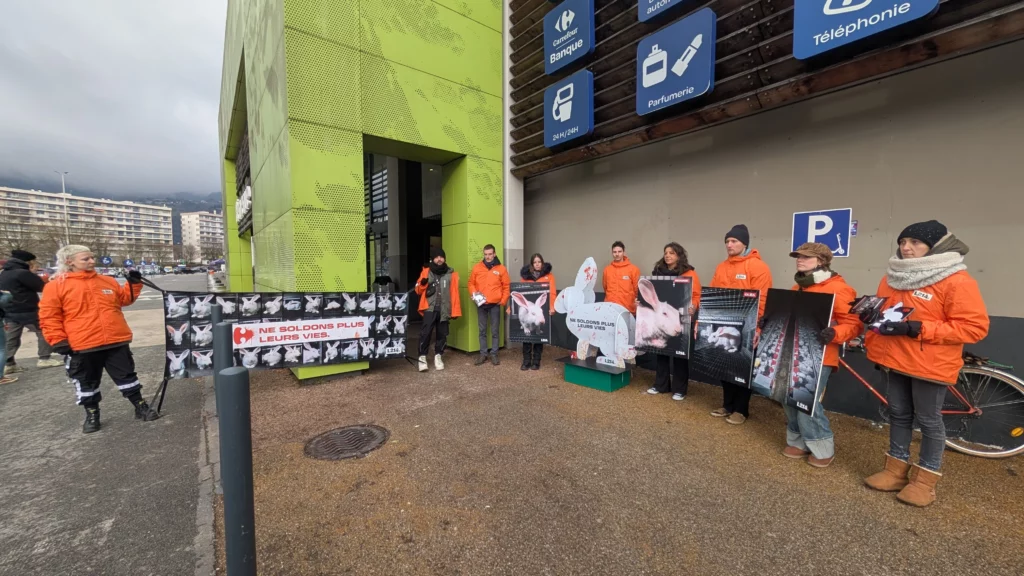 Manifestation L214 devant Carrefour Meylan