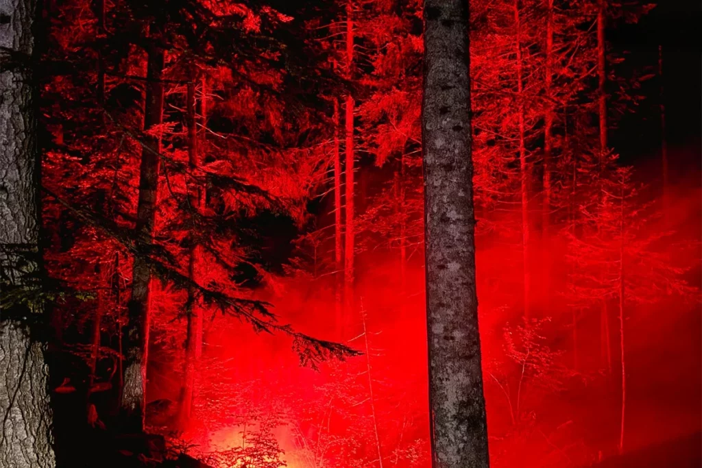 Une forêt rougie par les illuminations de l'animation Vercors en lumières