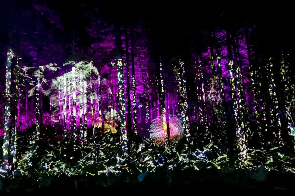 Une forêt colorée par les illuminations de Vercors en Lumières