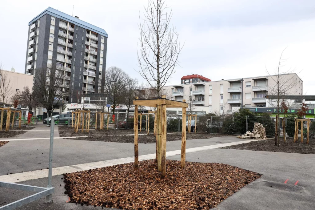 Place Salvador Allende à grenoble dans le quartier Teisseire, débitumisation, végétalisation, plantation arbres avec immeuble à l'arrière-plan