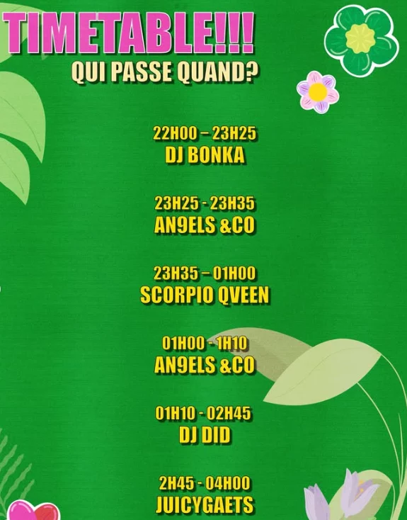 programmation wonderland