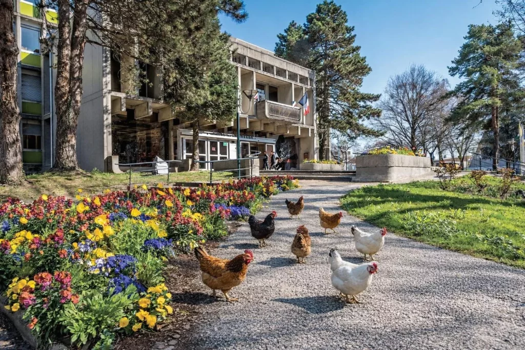 Poisson d'avril poule Fontaine