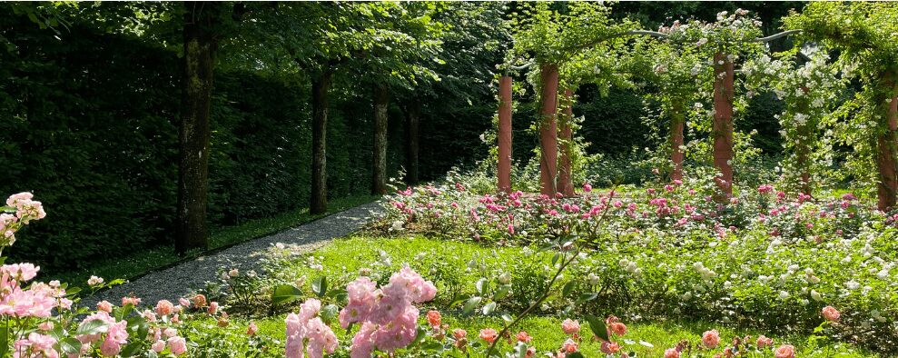 jardin du Musée Hébert