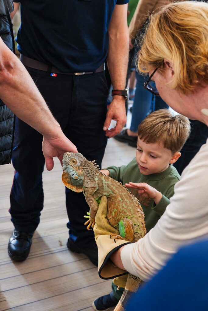 Iguane refuge des écailles / portes ouvertes pompiers